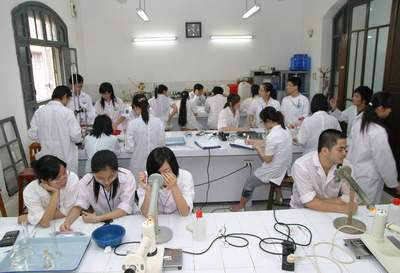 Nghề Kỹ thuật Dược